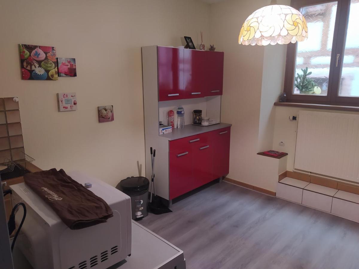 Chey Mybam, Agreable Maison Au Centre De Selestat Villa Exterior photo
