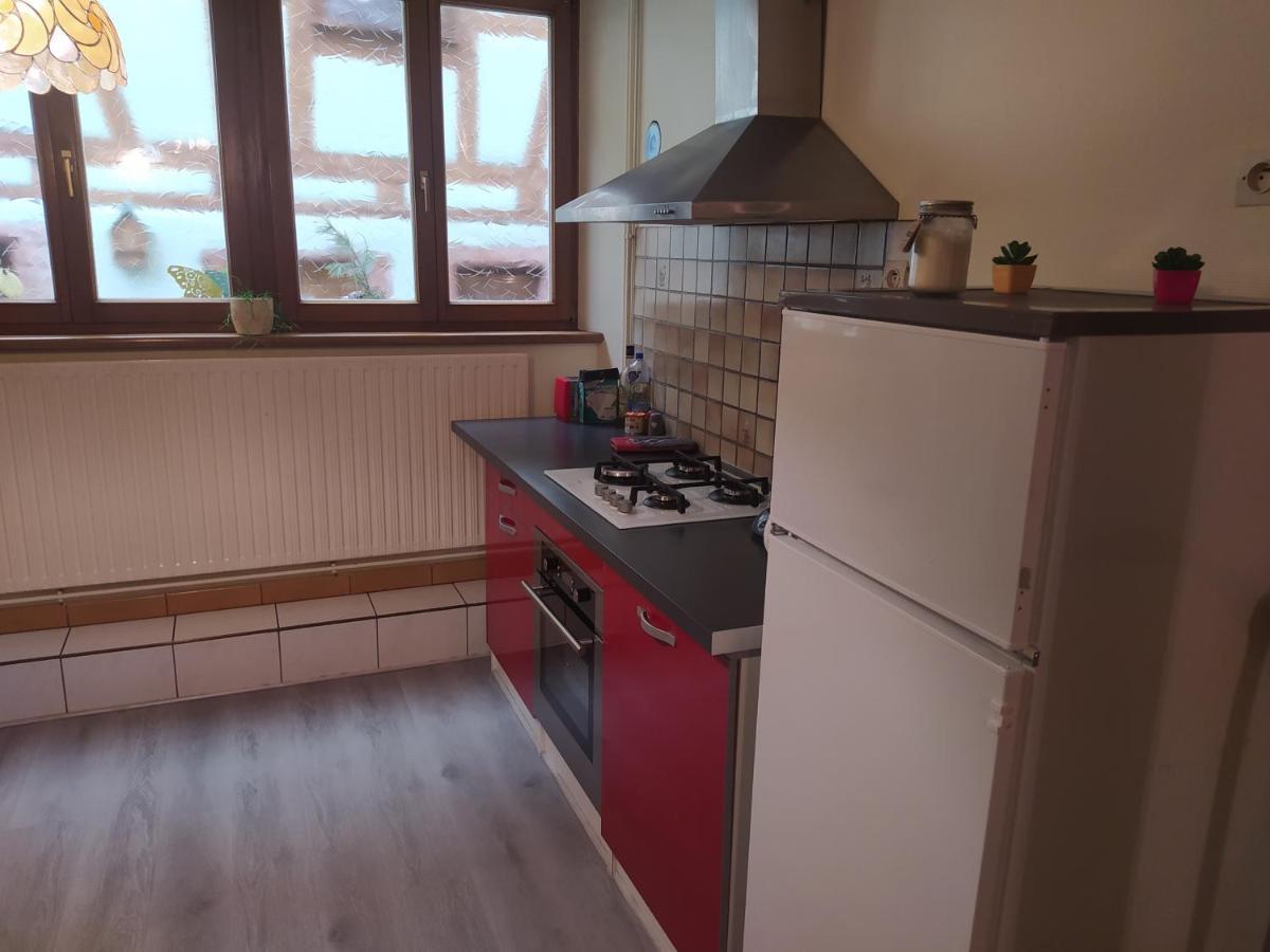 Chey Mybam, Agreable Maison Au Centre De Selestat Villa Exterior photo